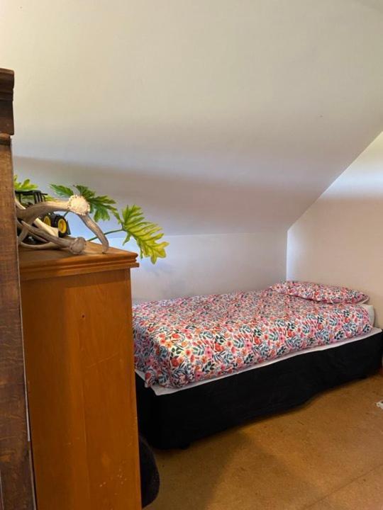 Hadlow Sunrise Retreat Тимару Екстериор снимка